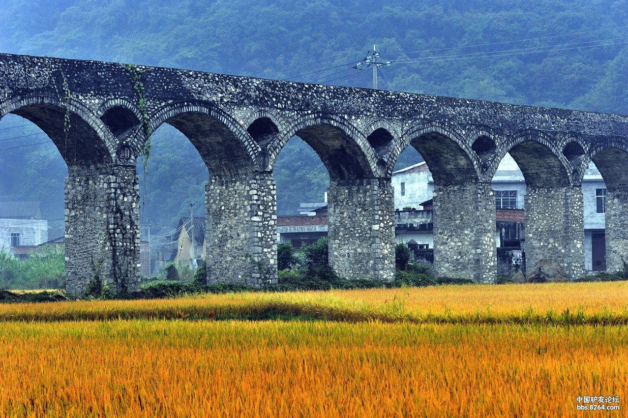 2014最新尧山尧山旅行青蛙喂食-桂林桂林自攻略旅游攻略下载图片