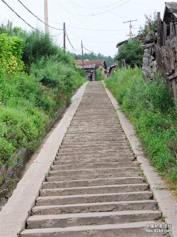 2014最新大庆地图在线浏览,大庆地图下载