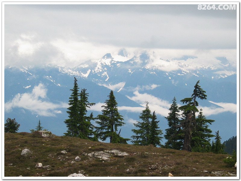 Elfin Lakes云雾行(加拿大)