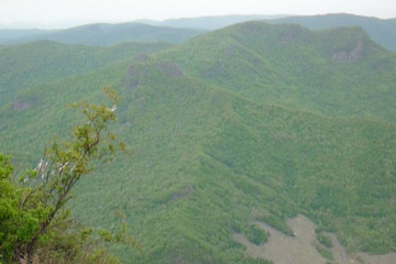 帽儿山简谱_延吉帽儿山(3)
