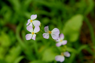 16799179_1282955613hNL6.jpg!t2w360h240