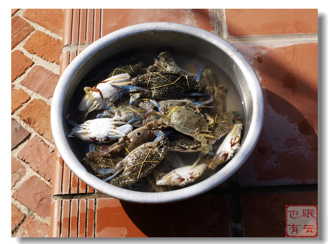 图说 天津人越南半月游(简单攻略) - 中国|越南|