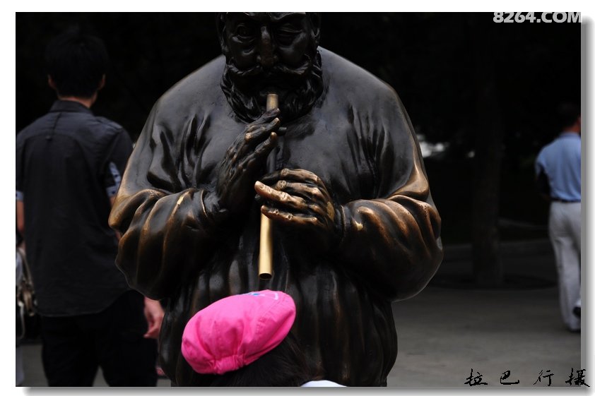 借问黄花何处落,风吹一夜满关山 - 福建 - 8264