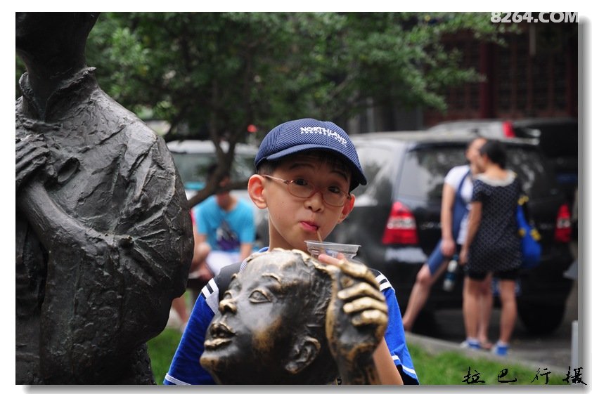借问黄花何处落,风吹一夜满关山 - 福建 - 8264
