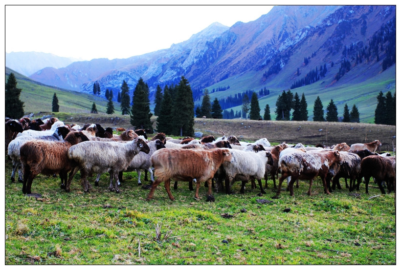 塞外江南指的是什么牧区 203416xc3l6opilmhs6cv6.jpg!t1w1500h1500