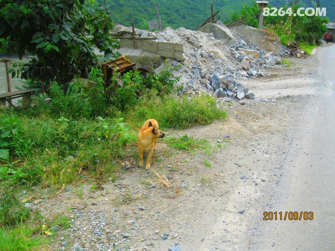 2011_09_01四只鞋,四条江,不爱后货架(2700张