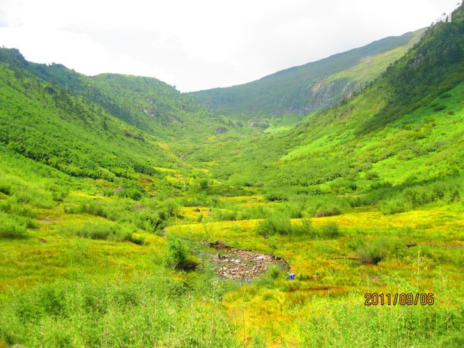 2011_09_01四只鞋,四条江,不爱后货架(2700张