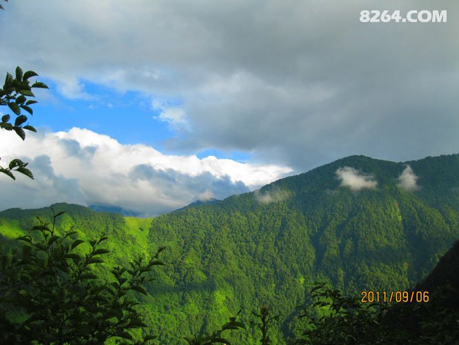 2011_09_01四只鞋,四条江,不爱后货架(2700张