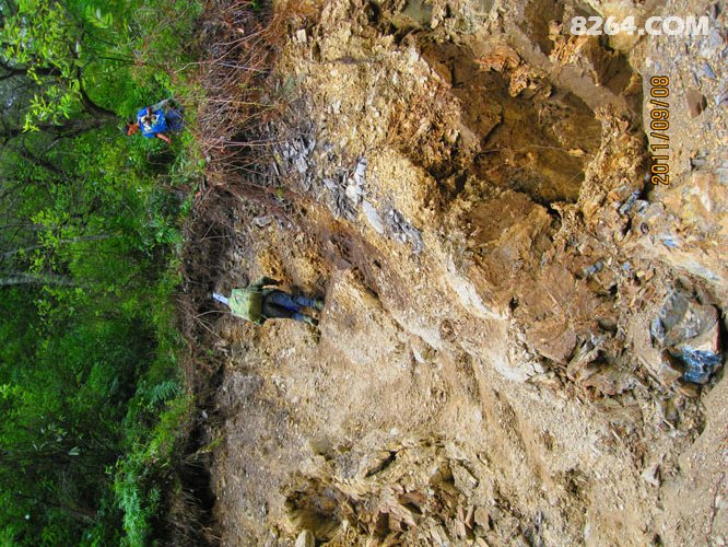 2011_09_01四只鞋,四条江,不爱后货架(2700张