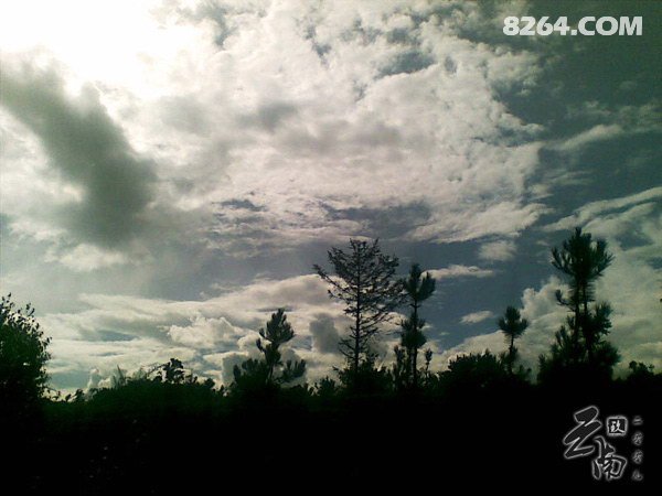 《在青山绿野之间踽踽前行》--云南行纪+攻略