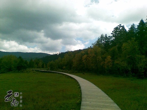 《在青山绿野之间踽踽前行》--云南行纪+攻略