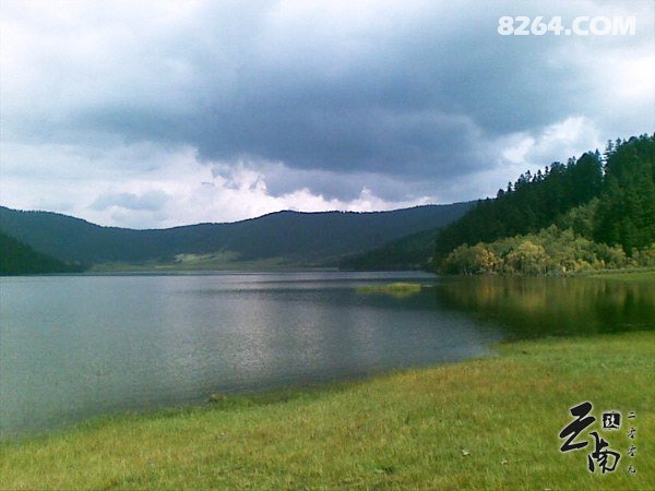 《在青山绿野之间踽踽前行》--云南行纪+攻略