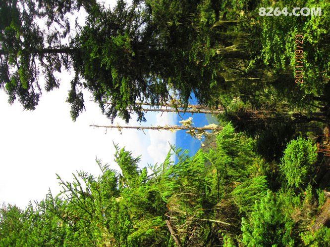 9_01四只鞋,四条江,不爱后货架(2700张图片说