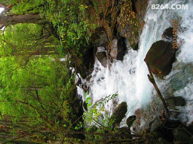 2011_09_01四只鞋,四条江,不爱后货架(2700张