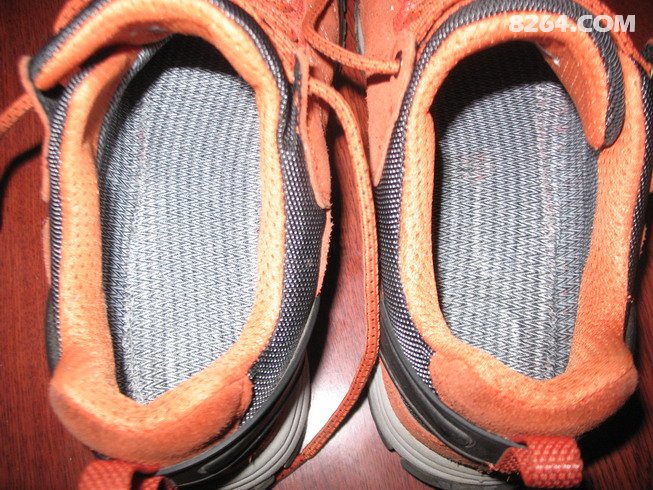 遨游东湖梅花节,怎赖不仕梅花开!--遨游仕评