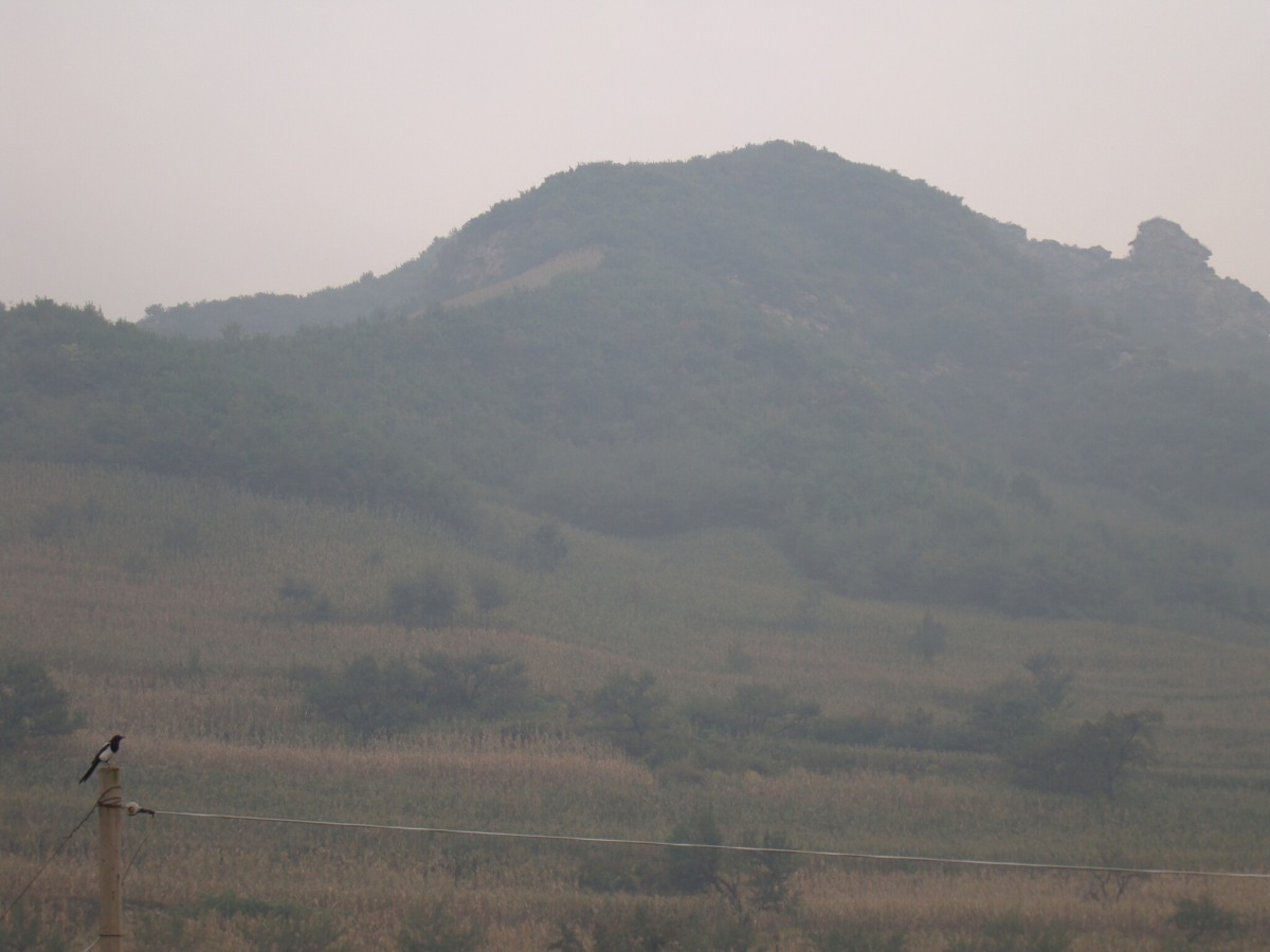 风雨无阻北陵团医巫闾山冰雹行 - 第1页