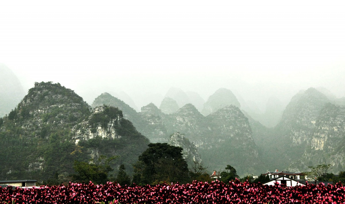 行杂记{更新:贵阳黔灵山 HELLO MONKEY - 第