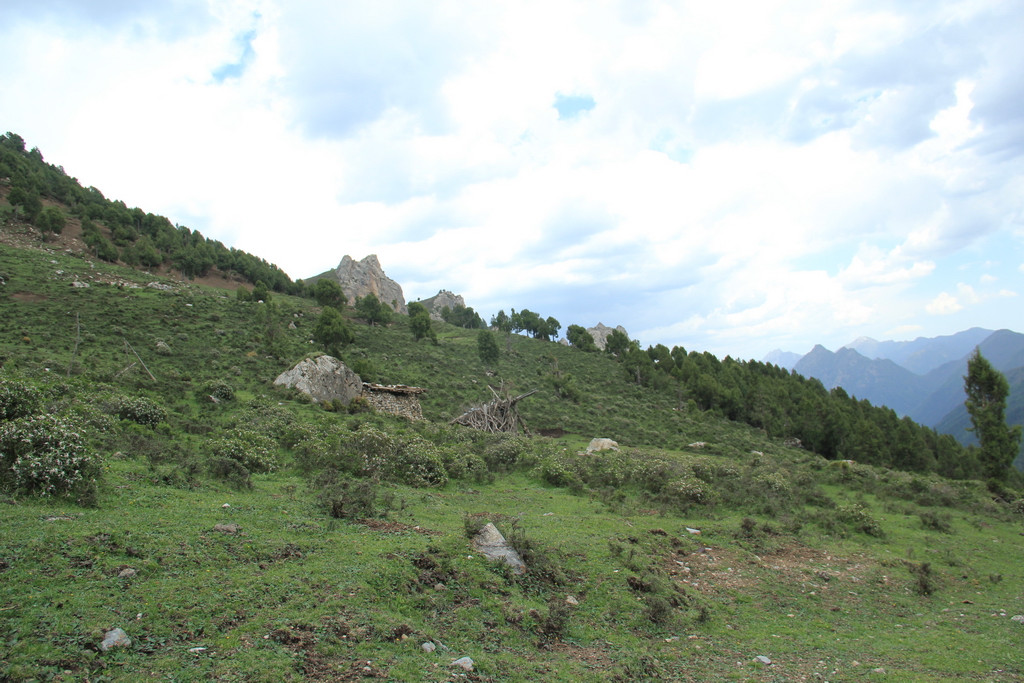 挡不住的疯情,抵不住的诱惑-八渡溪水八出祁山