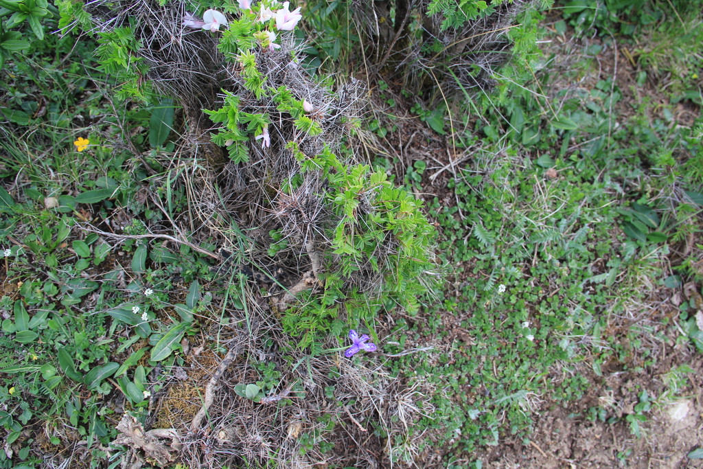 挡不住的疯情,抵不住的诱惑-八渡溪水八出祁山
