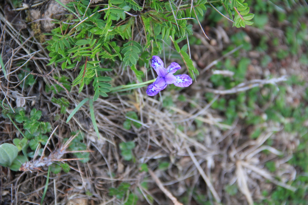 挡不住的疯情,抵不住的诱惑-八渡溪水八出祁山