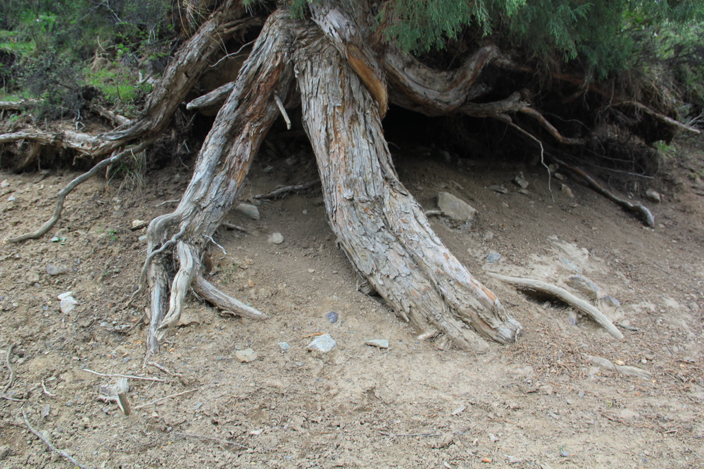 挡不住的疯情,抵不住的诱惑-八渡溪水八出祁山