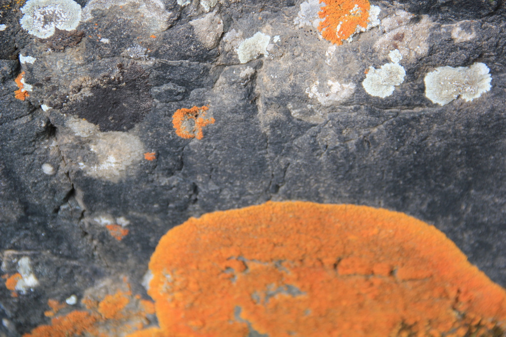 挡不住的疯情,抵不住的诱惑-八渡溪水八出祁山