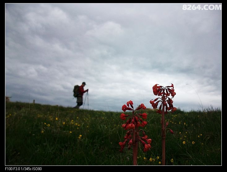 五台山---不为朝台,不为祈愿,只为寻找心灵的那