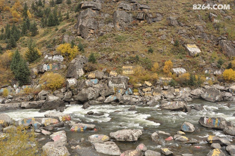 雪山之吻 之 油画中的黄色世界 新都桥 塔公草原