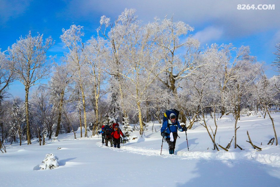 0952007n7zopgenjzg7y99.jpg!t3w825h0