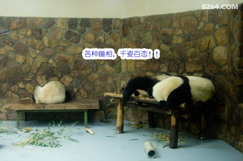 向梦想前进!大连夫妻,30天,1万公里,12省,住床