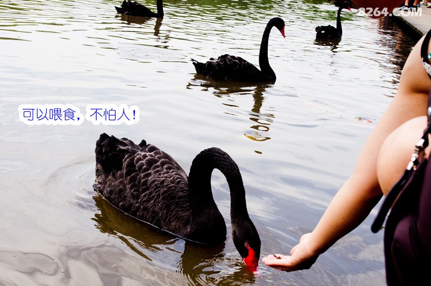 向梦想前进!大连夫妻,30天,1万公里,12省,住床