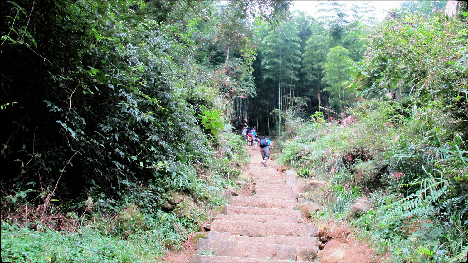 慢摇长寿五华山