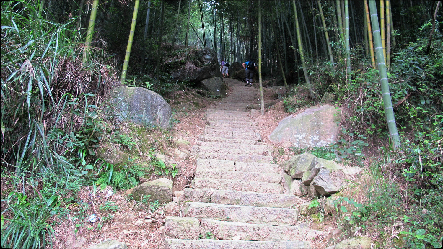 慢摇长寿五华山