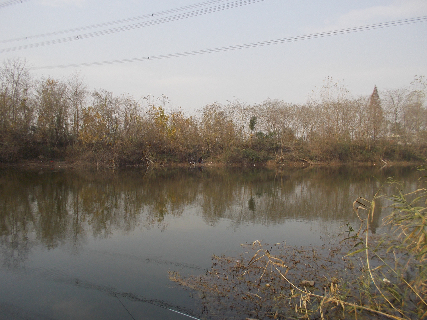 双休野钓乐趣 - 第1页