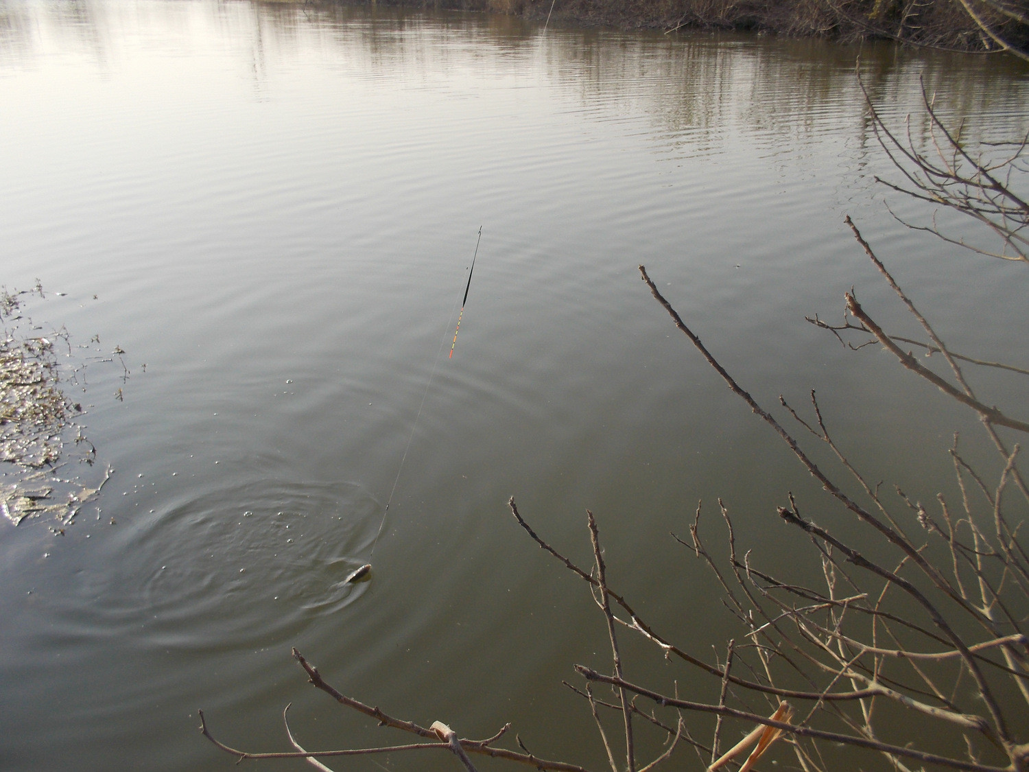 12月分冬季野钓乐趣随拍