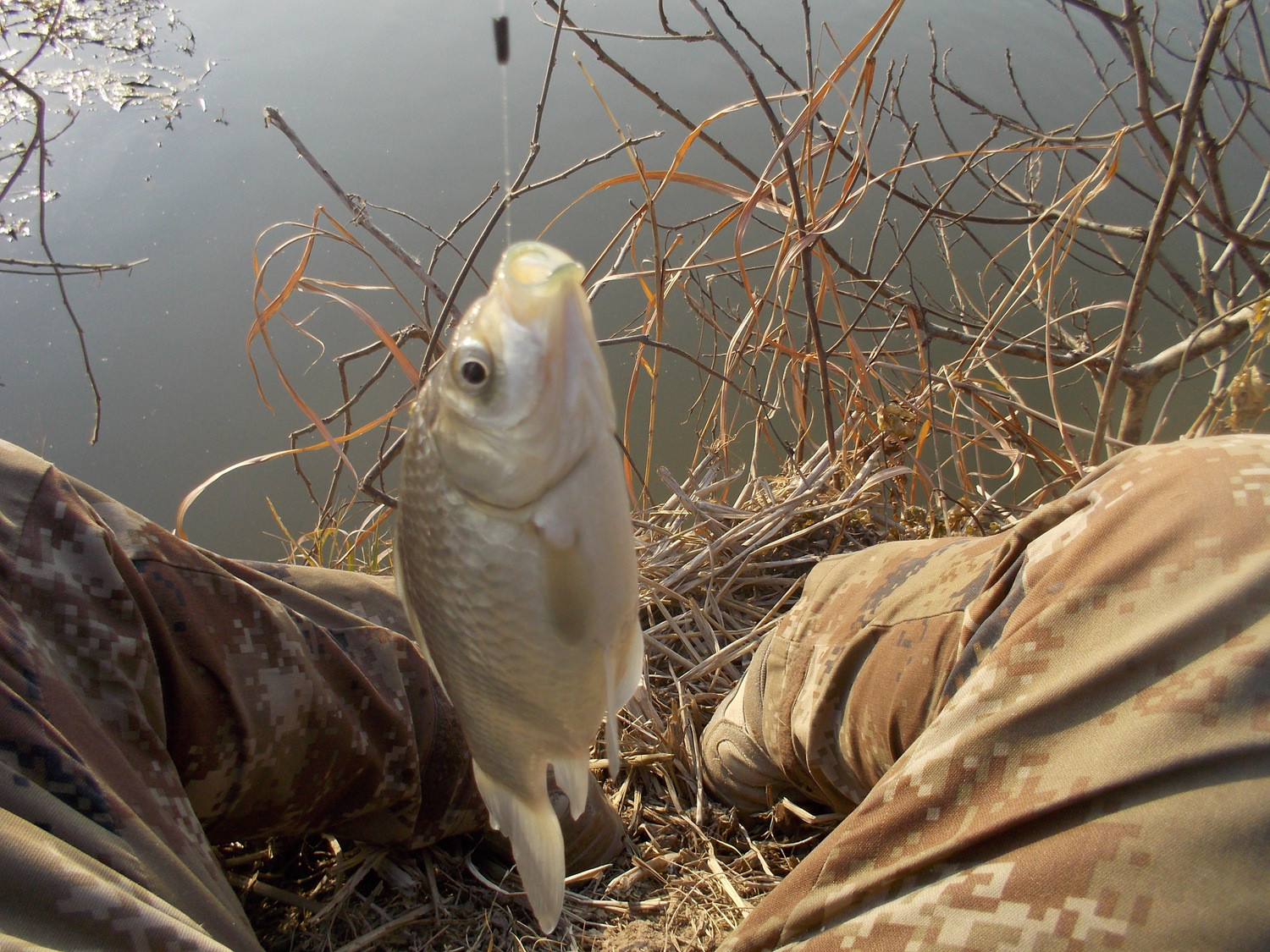 冬天手竿野钓鱼趣随拍