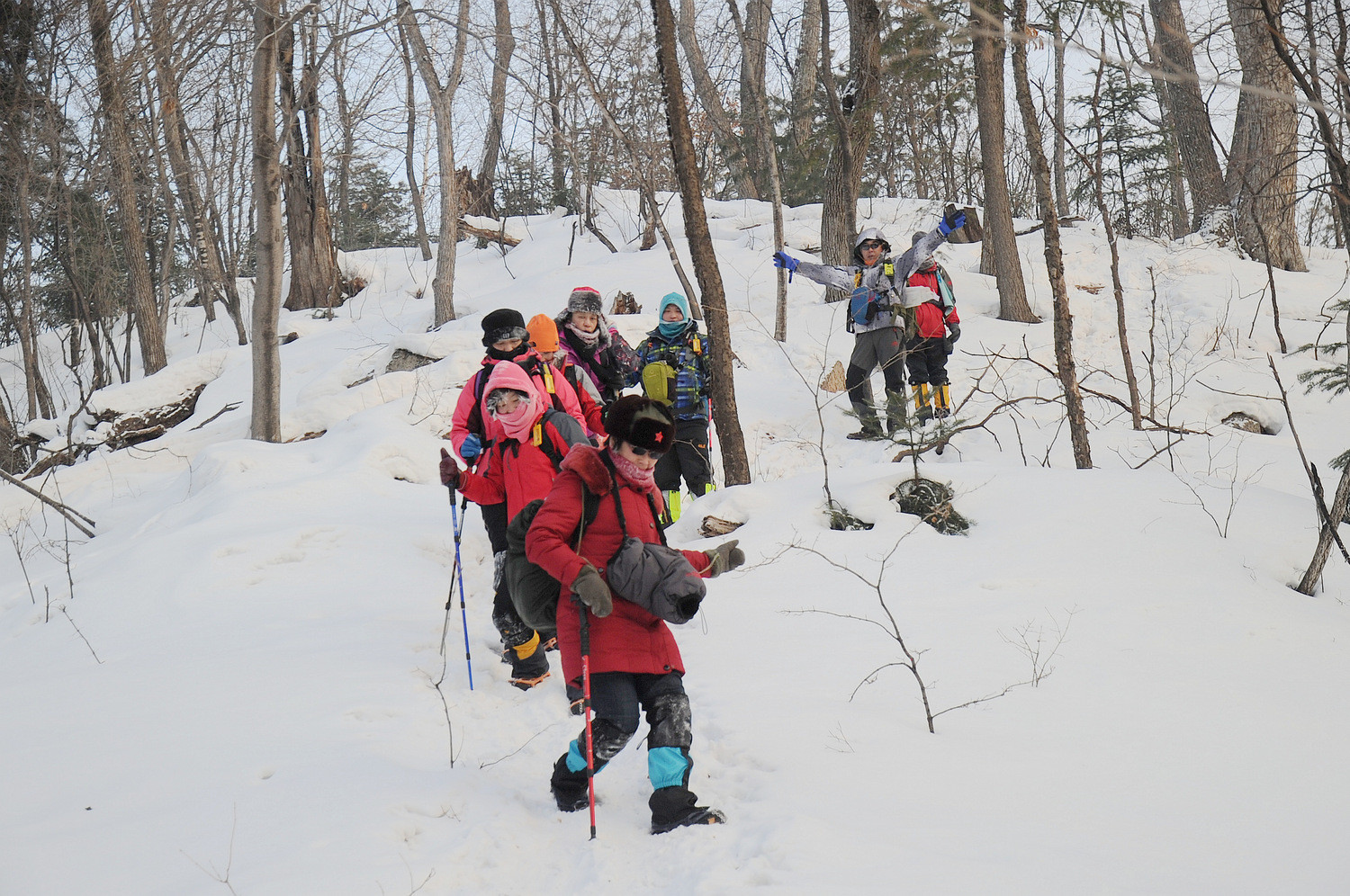 我的第一次穿越--吉林蛟河老爷岭穿越、赏松江