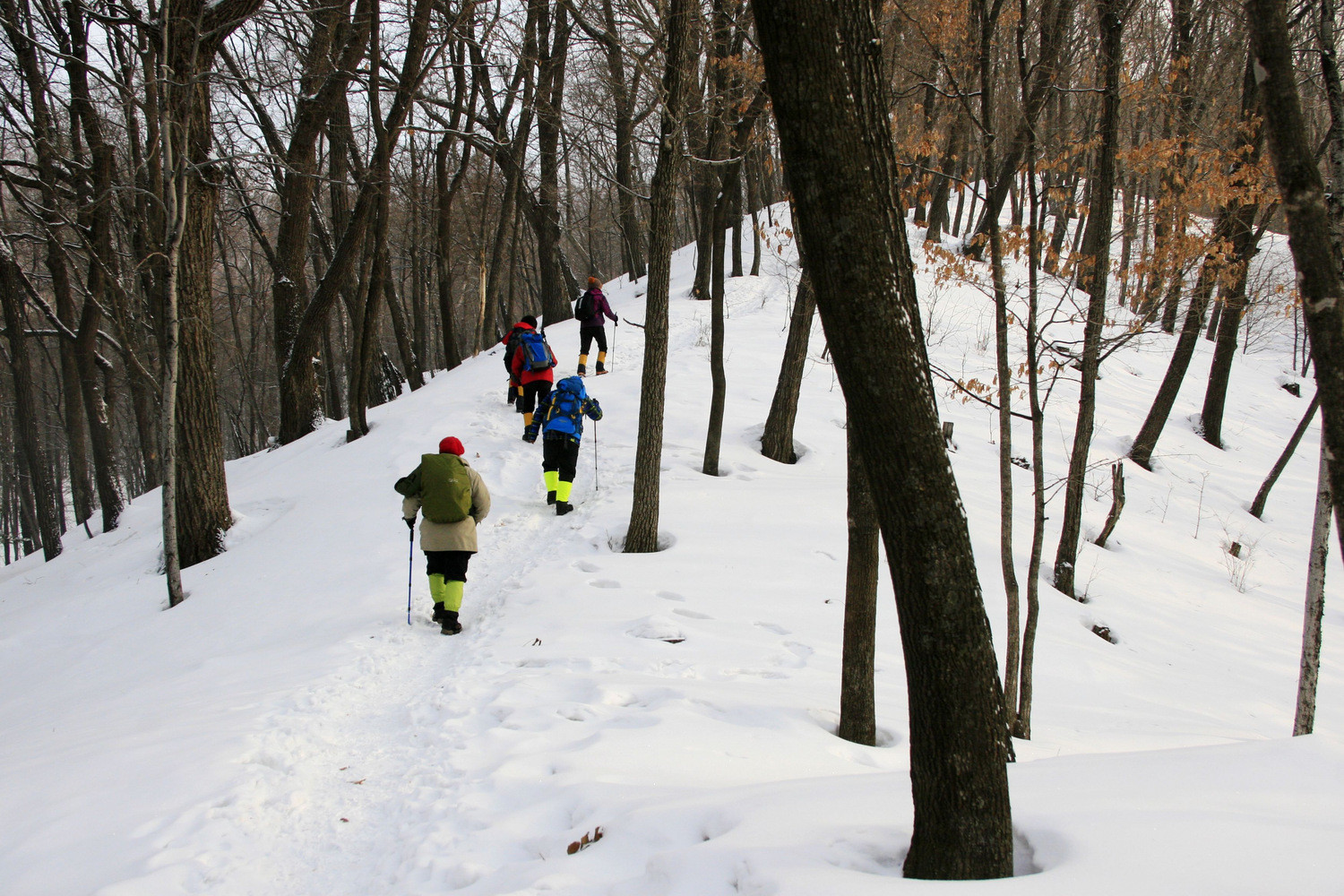 我的第一次穿越--吉林蛟河老爷岭穿越、赏松江