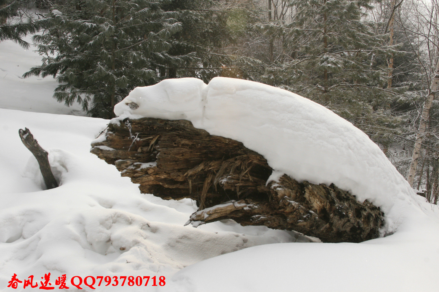 我的第一次穿越--吉林蛟河老爷岭穿越、赏松江