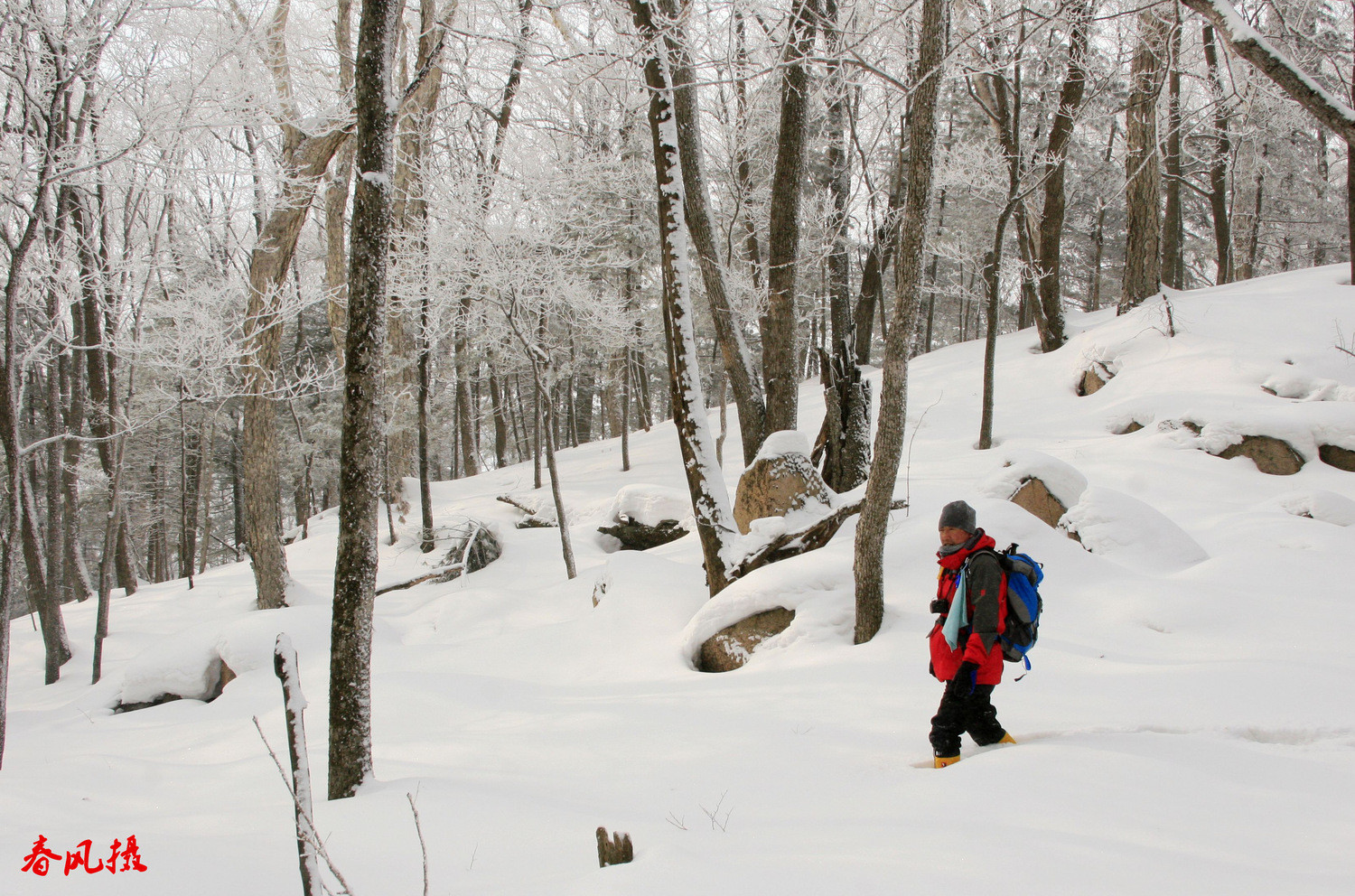 我的第一次穿越--吉林蛟河老爷岭穿越、赏松江