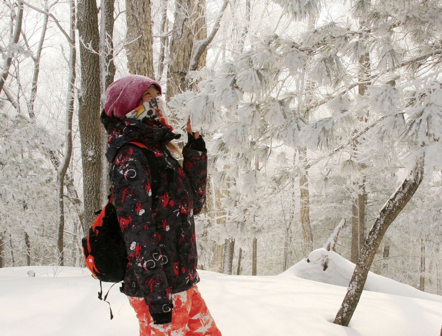 我的第一次穿越--吉林蛟河老爷岭穿越、赏松江