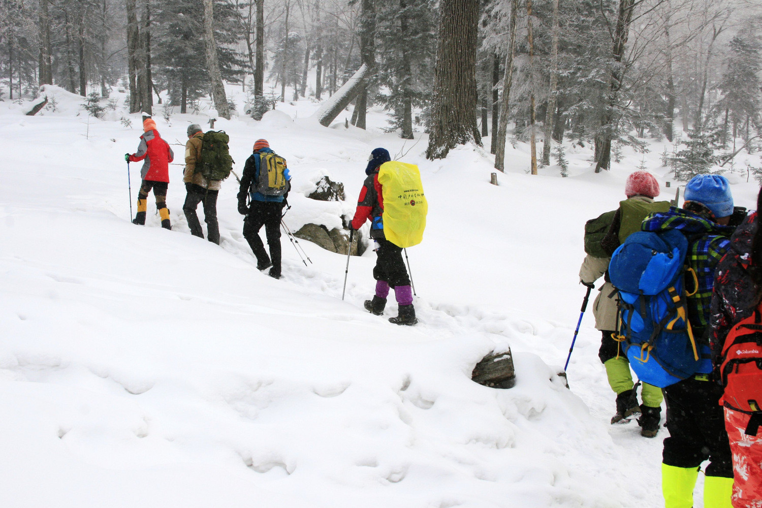 我的第一次穿越--吉林蛟河老爷岭穿越、赏松江
