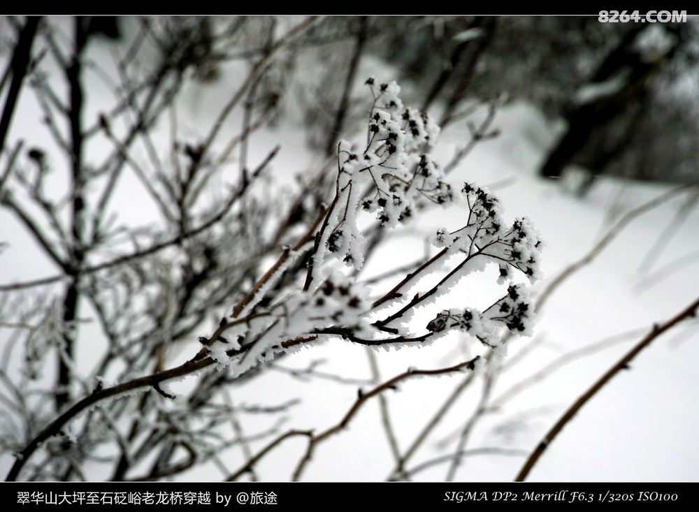 翠华山大坪停车场-九天瀑布-草甸-秦楚古道-十
