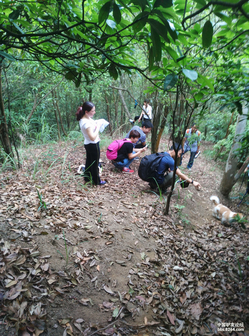 4月26日药学院至古寨沟水库 - 户外资料网