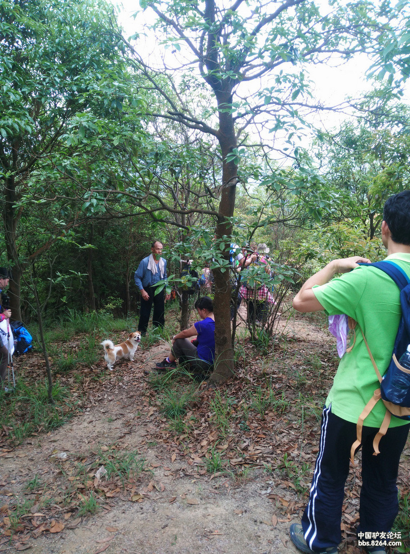 4月26日药学院至古寨沟水库 - 户外资料网