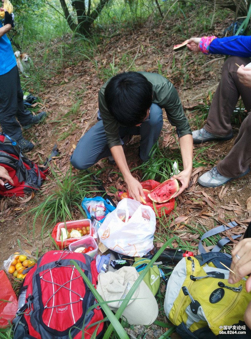 4月26日药学院至古寨沟水库 - 户外资料网