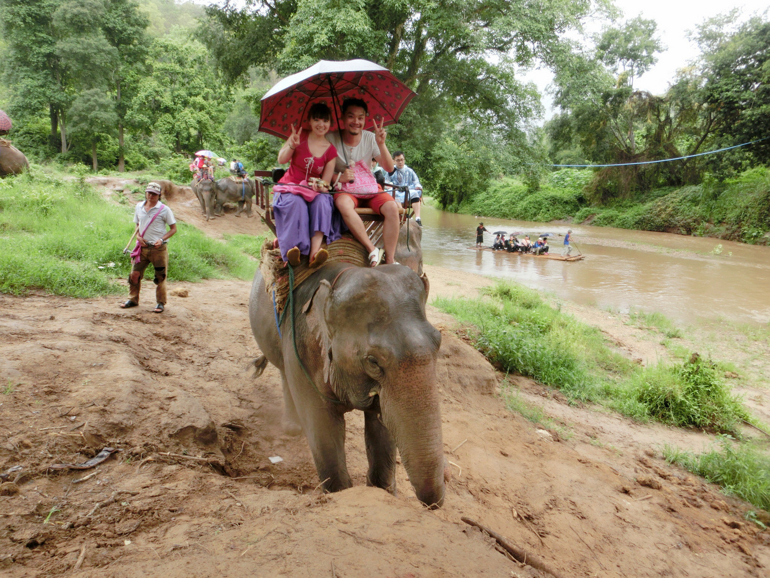 杨小妞儿泰国结婚旅行24天之 攻略篇 - 第1页