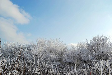 清凉峰雪景 - 骚动的灵魂的相册