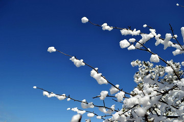 清凉峰雪景 - 骚动的灵魂的相册