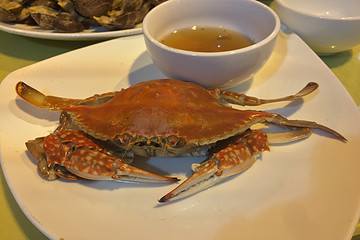 泰安到青岛 - 哆啦A梦318的相册 - 户外资料网